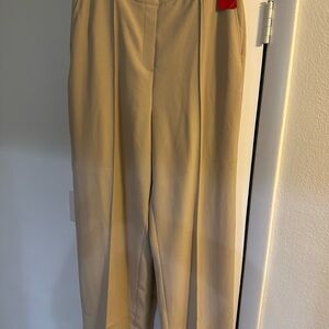 SPANX Classic Beige Pants